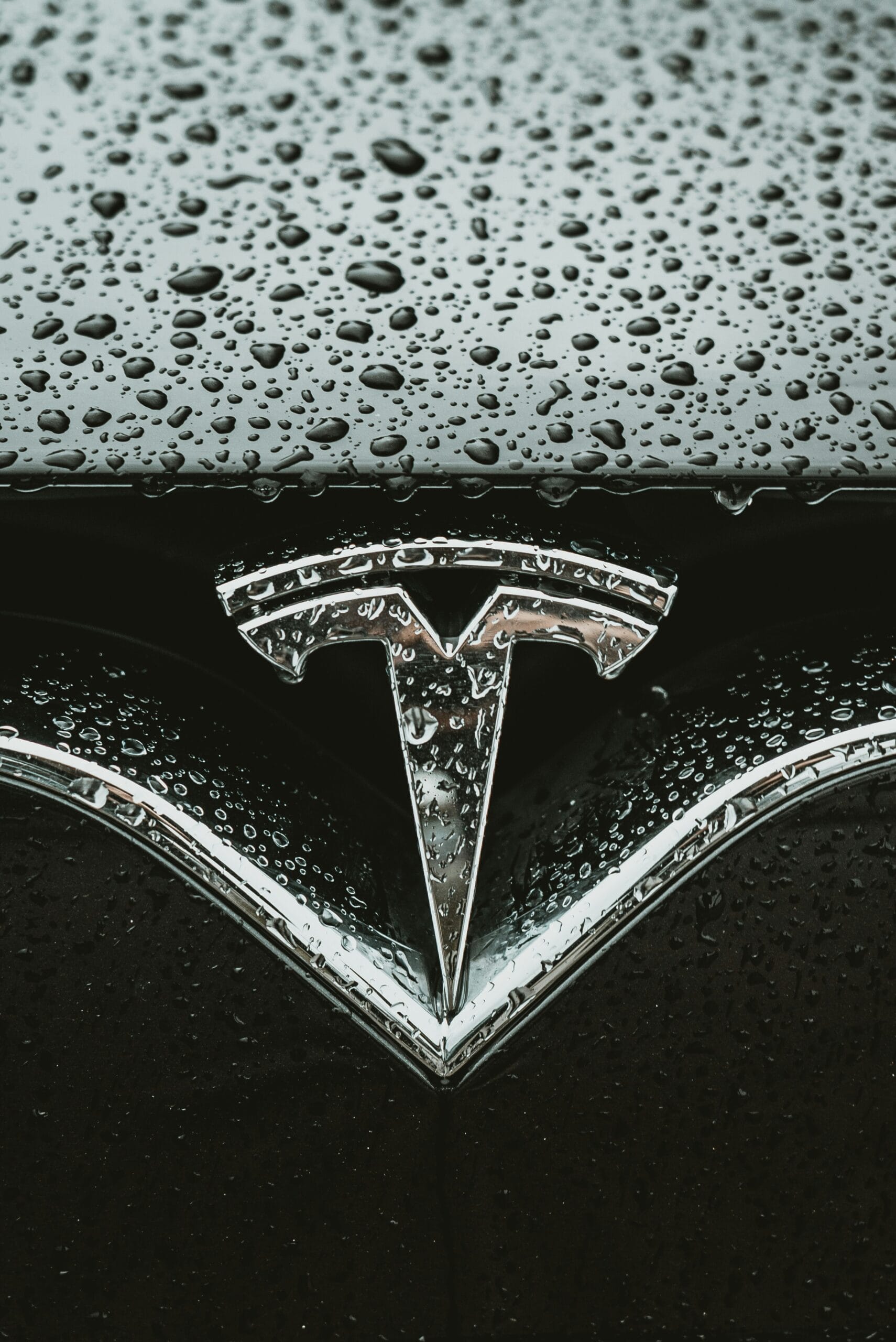 Teslas logo dækket af regndråber på en bil.