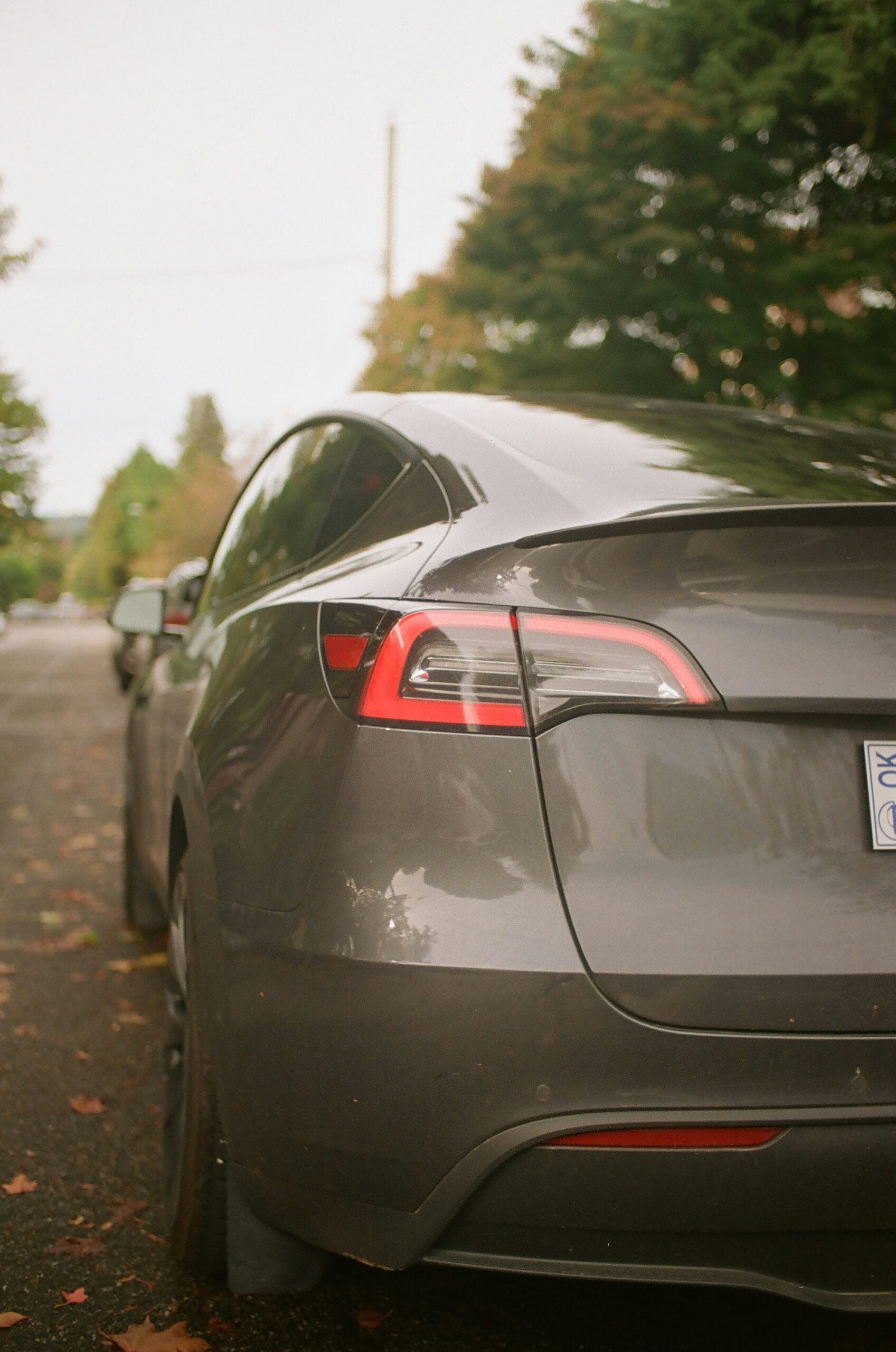 Bagenden af en sort Tesla elbil parkeret på en naturskøn vej