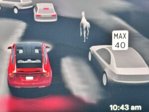 Tesla kørecomputerskærm viser trafikoverblik med registrering af hest på vejen