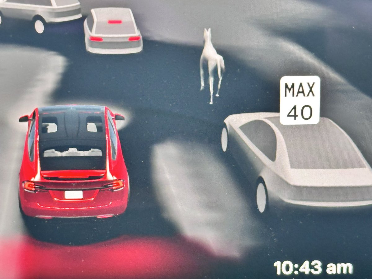 Tesla kørecomputerskærm viser trafikoverblik med registrering af hest på vejen
