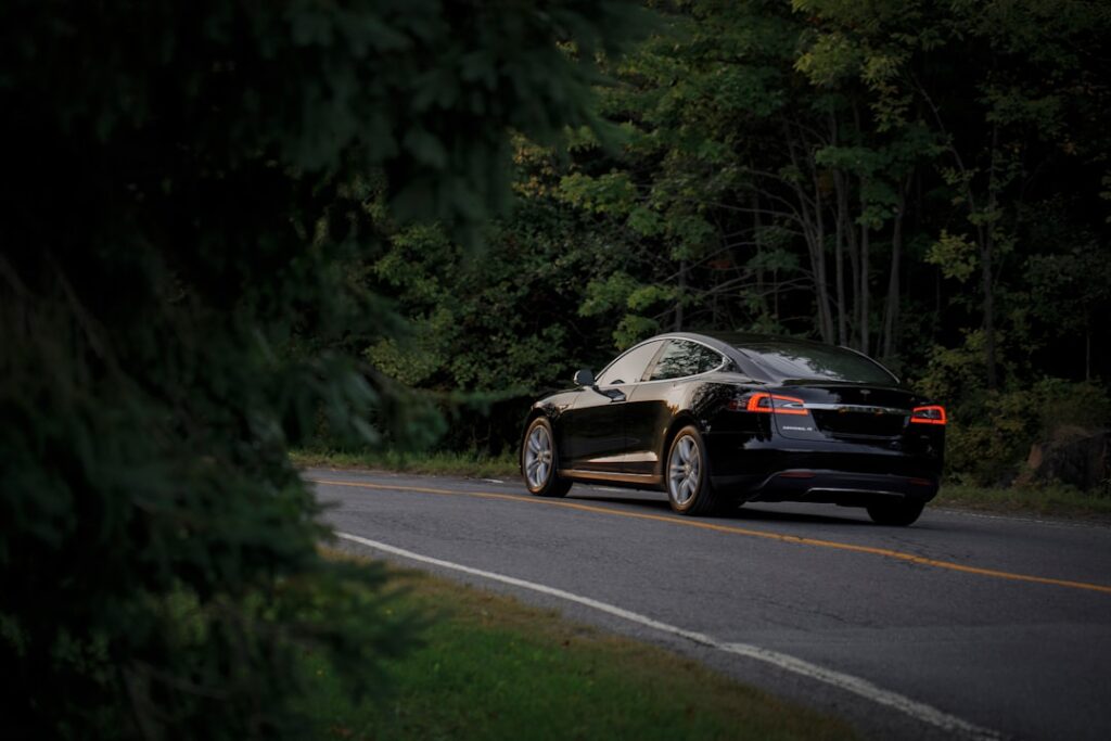 Tesla Model S på landevej omgivet af træer