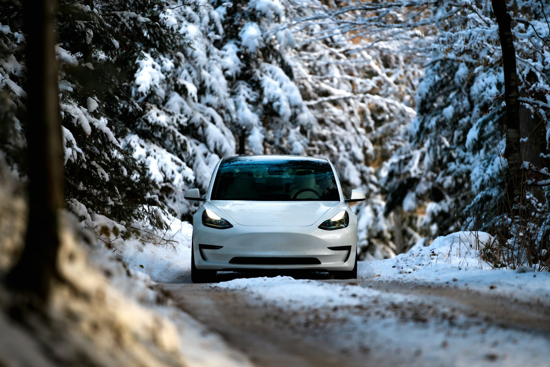 Hvid Tesla Model 3 kører på en snedækket skovvej med tændte forlygter